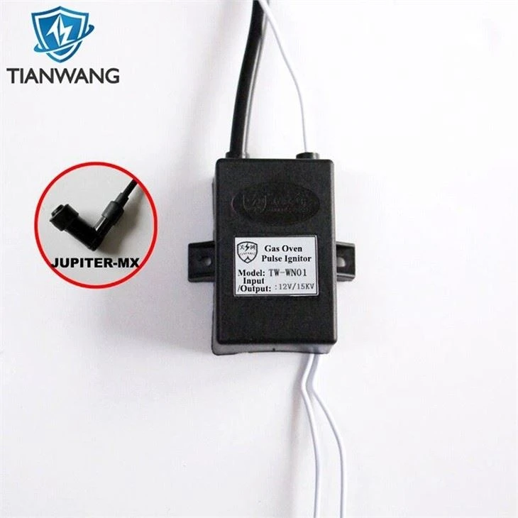 Factory Direct Supply Custom Gas Burner High Voltage Pulse Igniter With Plug