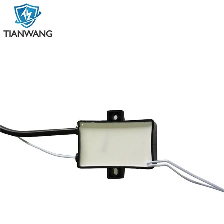 Factory Direct Supply Custom Gas Burner High Voltage Pulse Igniter With Plug