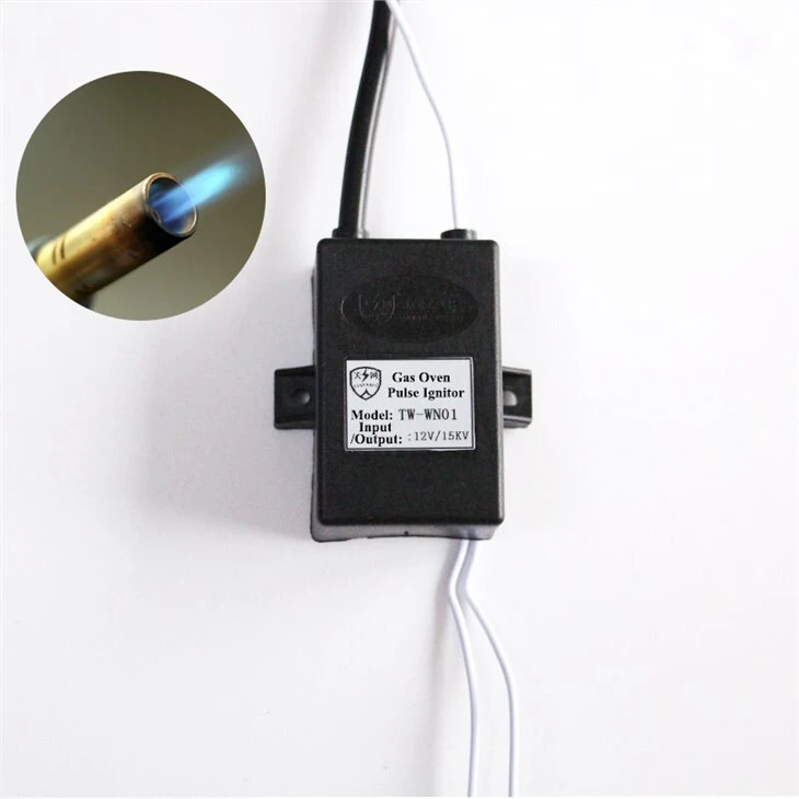 Factory Direct Supply Custom Gas Burner High Voltage Pulse Igniter Nrog Plug