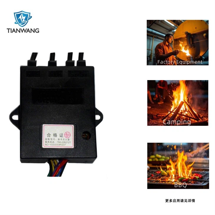 Roast Poultry Gas Cub Pulse Ignitor